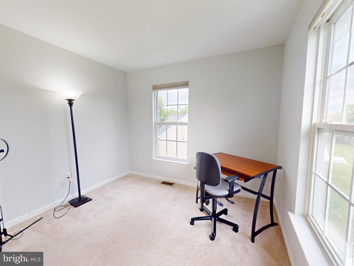 1100 Andean Goose Way photo 31