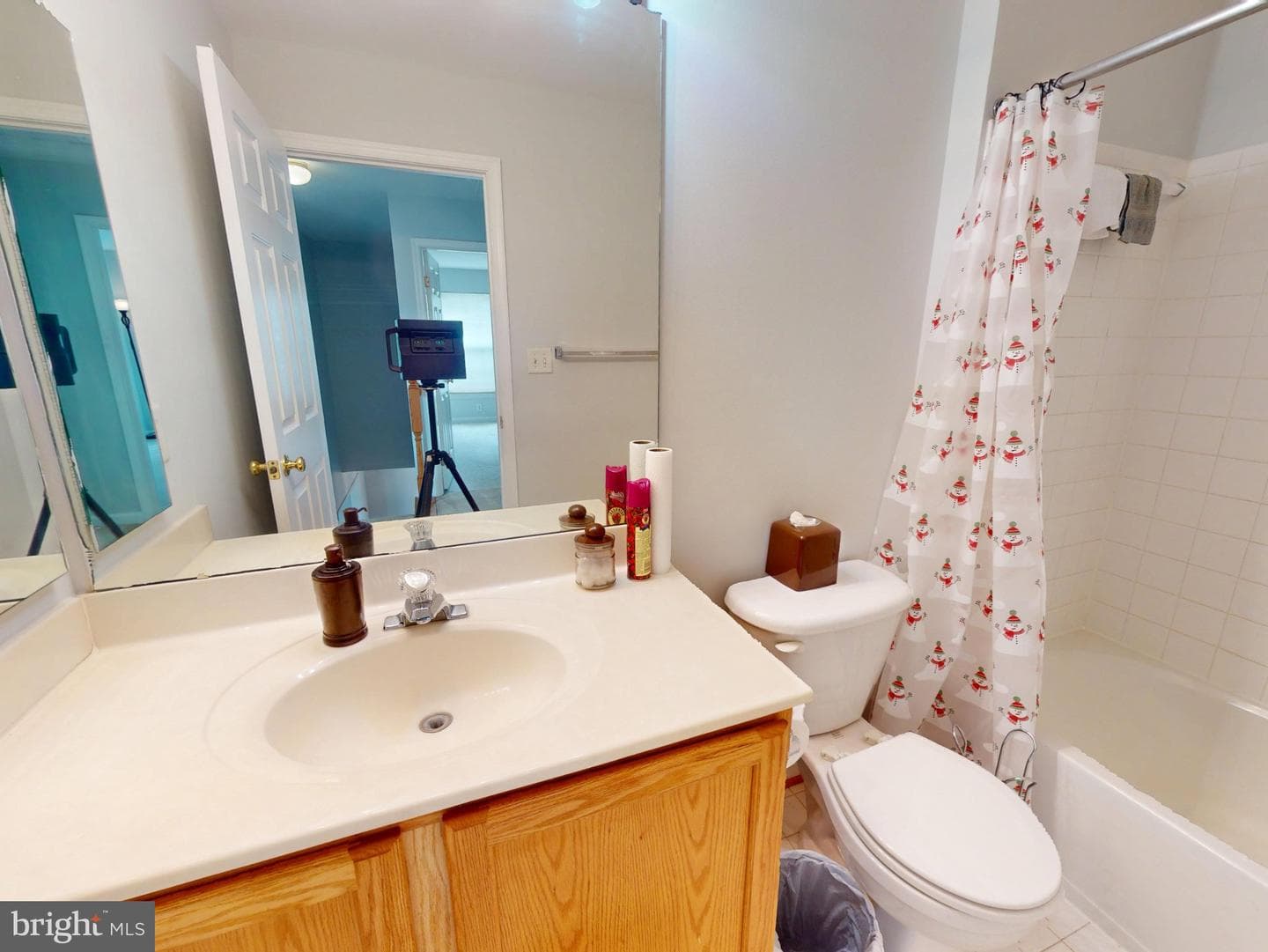 1100 Andean Goose Way photo 34