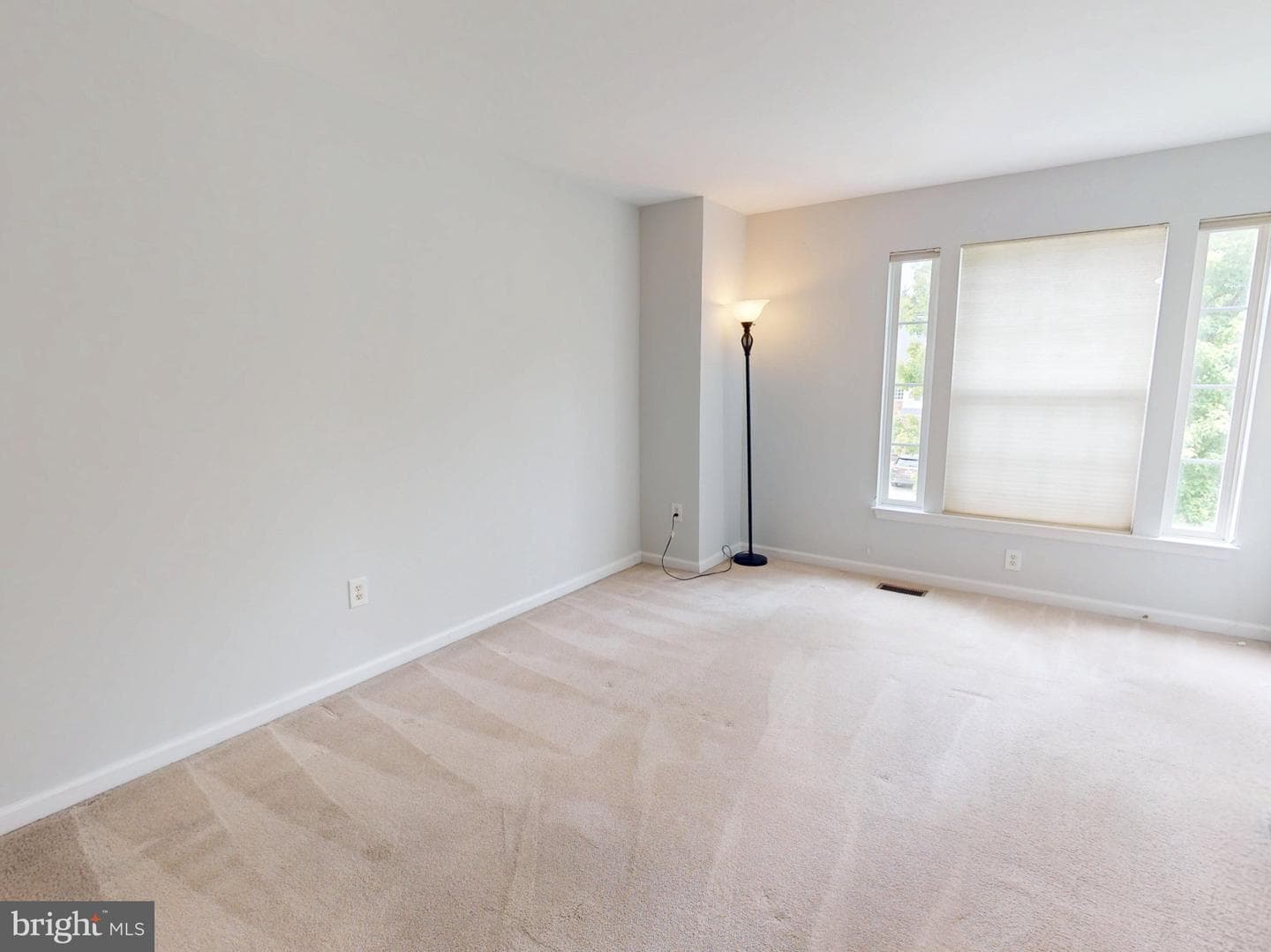1100 Andean Goose Way photo 36
