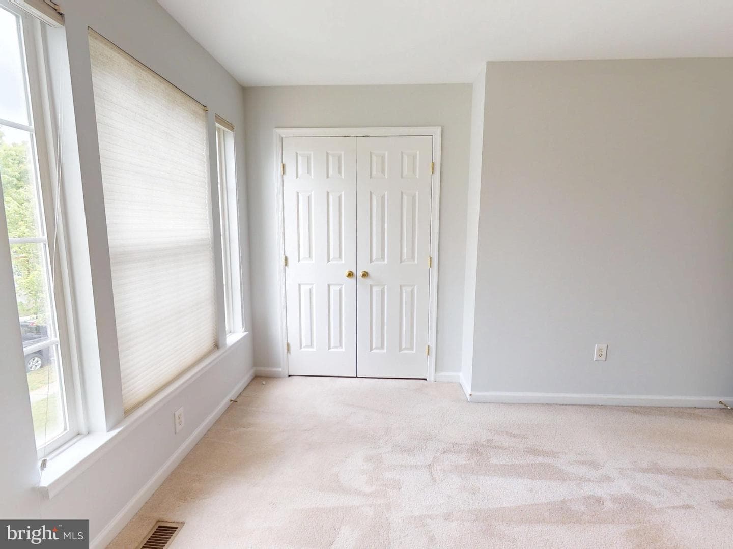 1100 Andean Goose Way photo 37