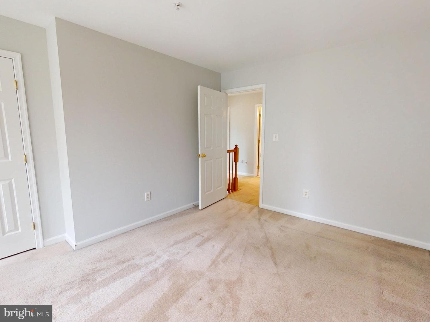 1100 Andean Goose Way photo 38