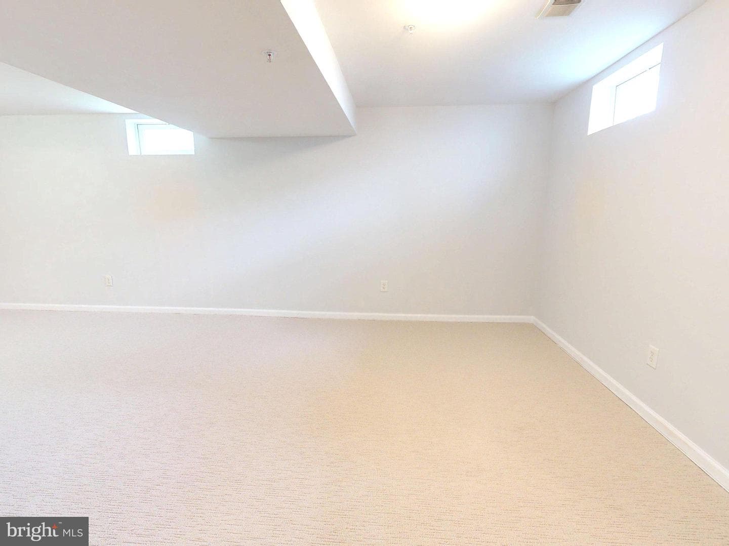 1100 Andean Goose Way photo 42