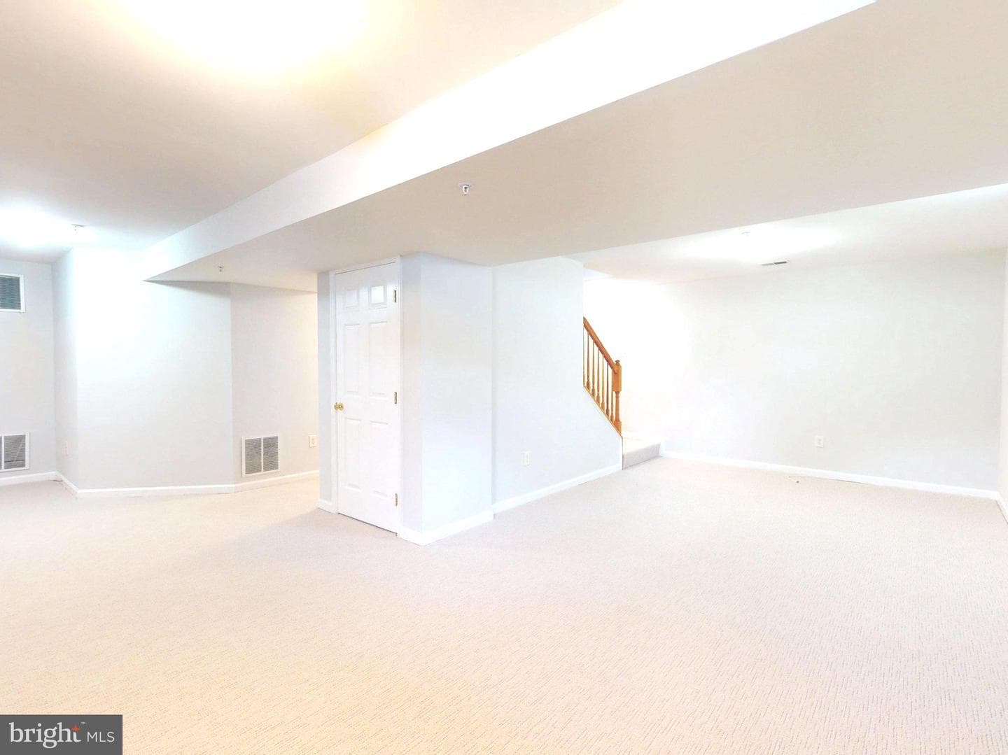 1100 Andean Goose Way photo 43
