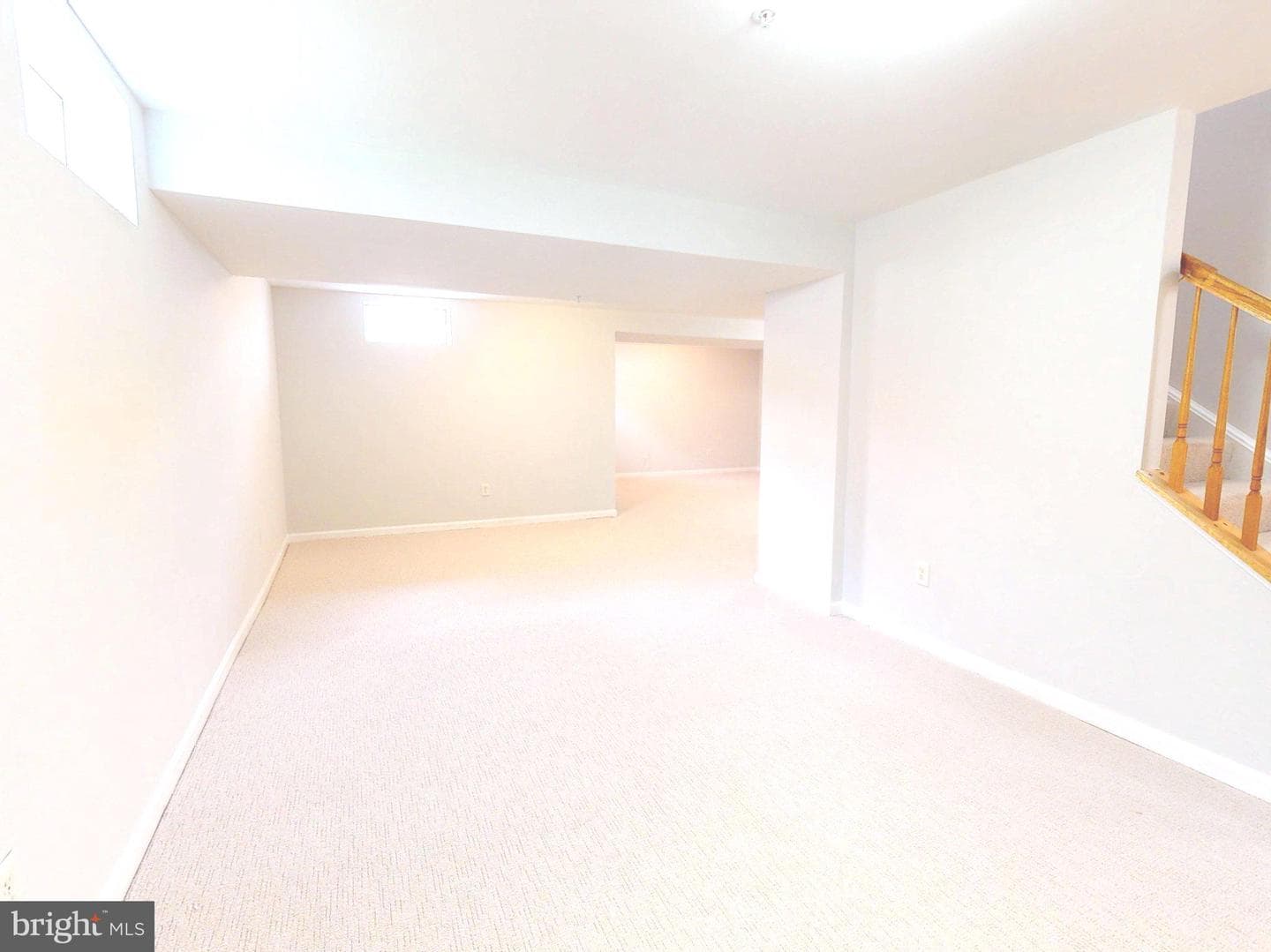 1100 Andean Goose Way photo 44