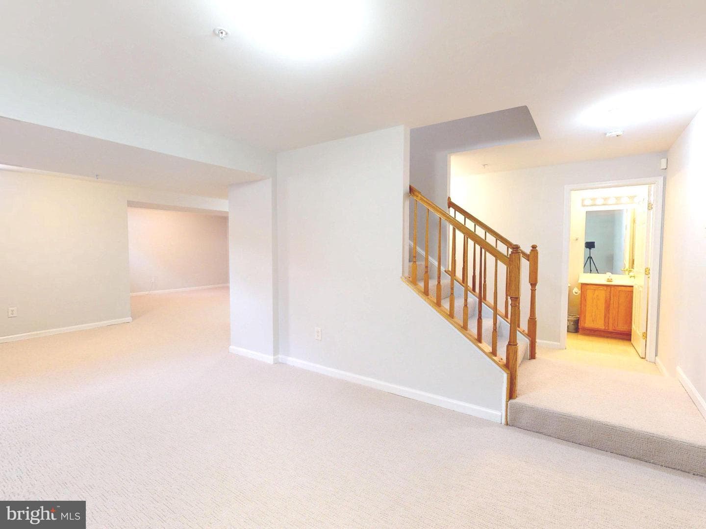 1100 Andean Goose Way photo 45
