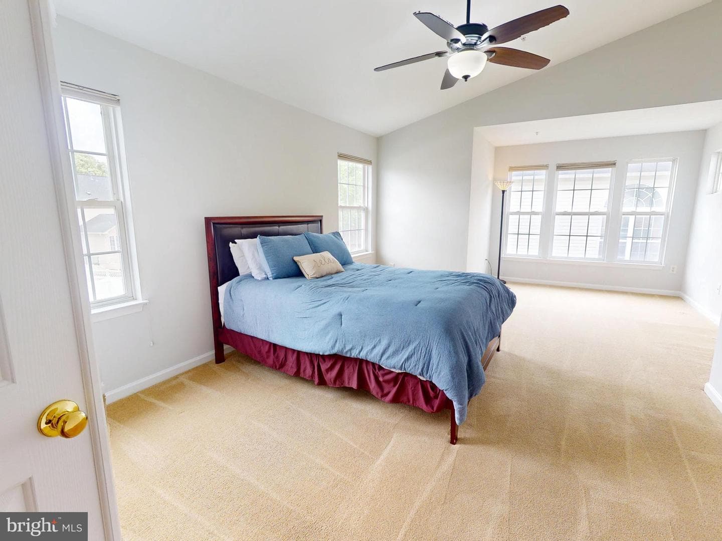 1100 Andean Goose Way photo 56