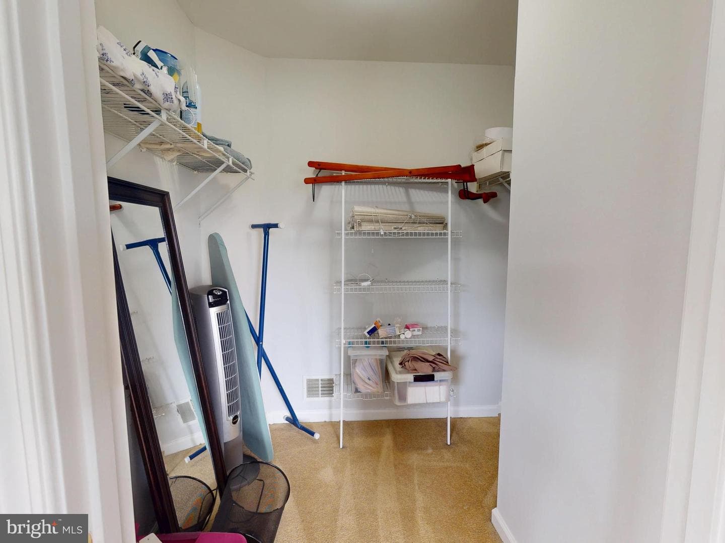 1100 Andean Goose Way photo 58
