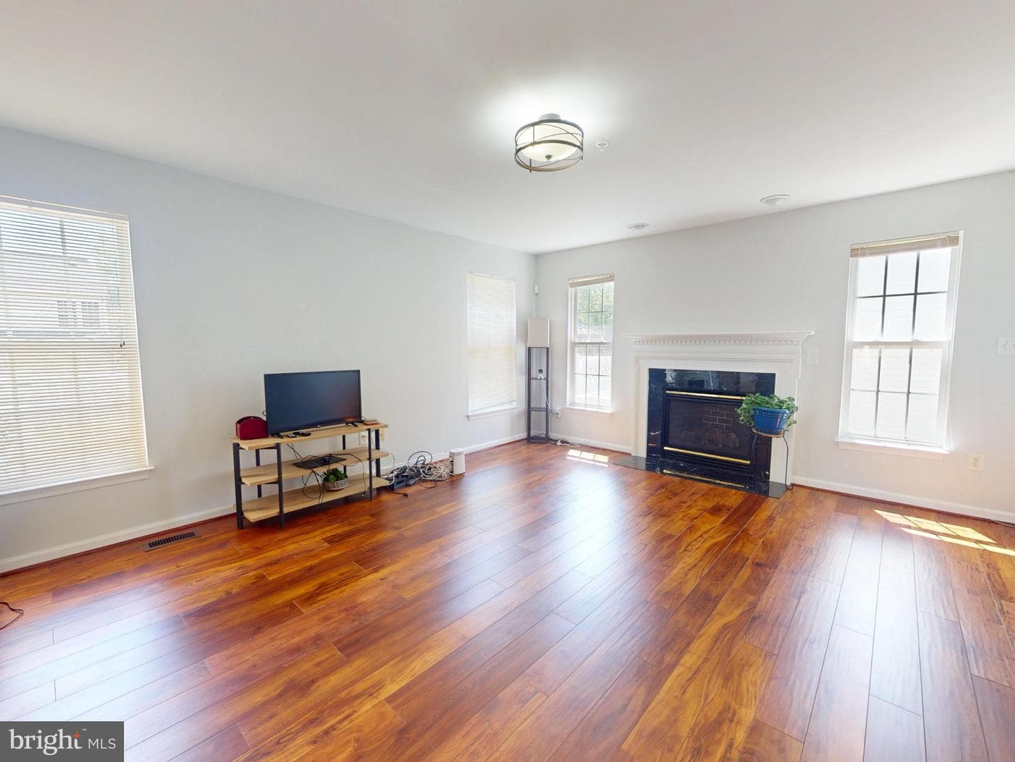 1100 Andean Goose Way photo 8