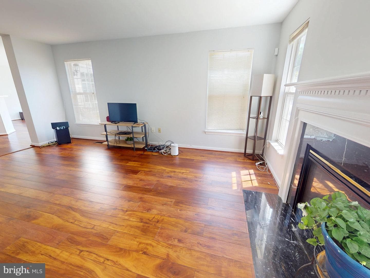1100 Andean Goose Way photo 9