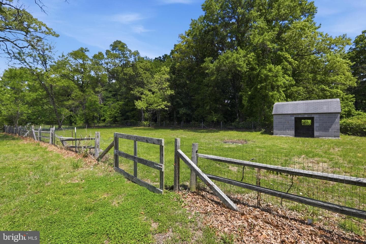 7725 Wills Lane photo 31