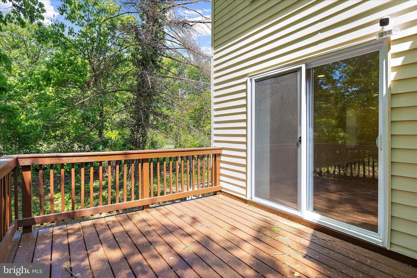 5301 Frazier Terrace photo 29
