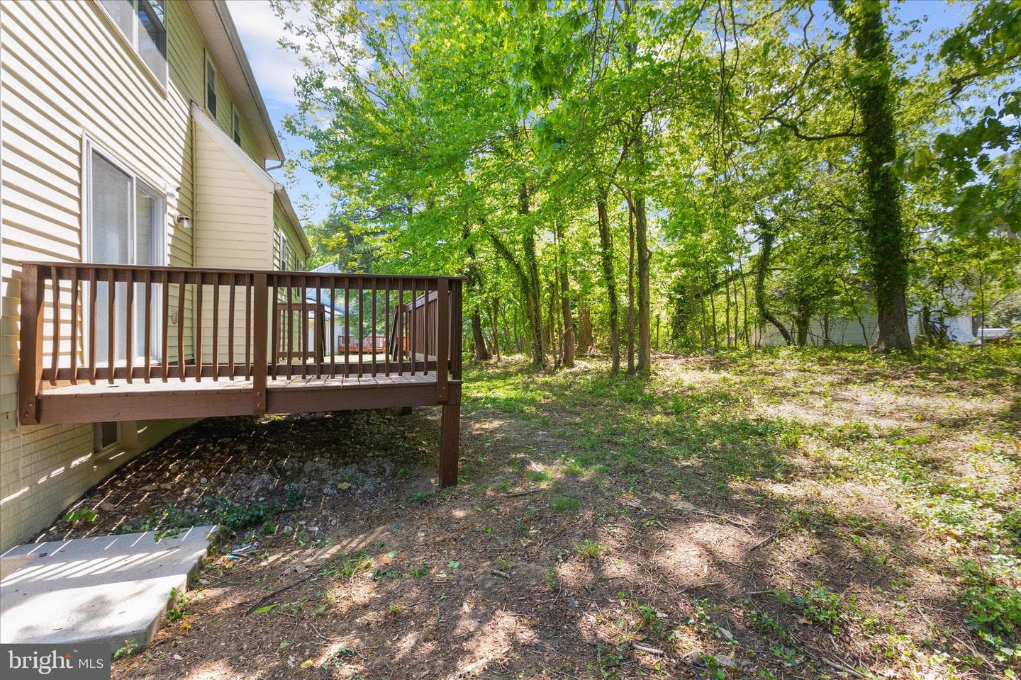 5301 Frazier Terrace photo 63