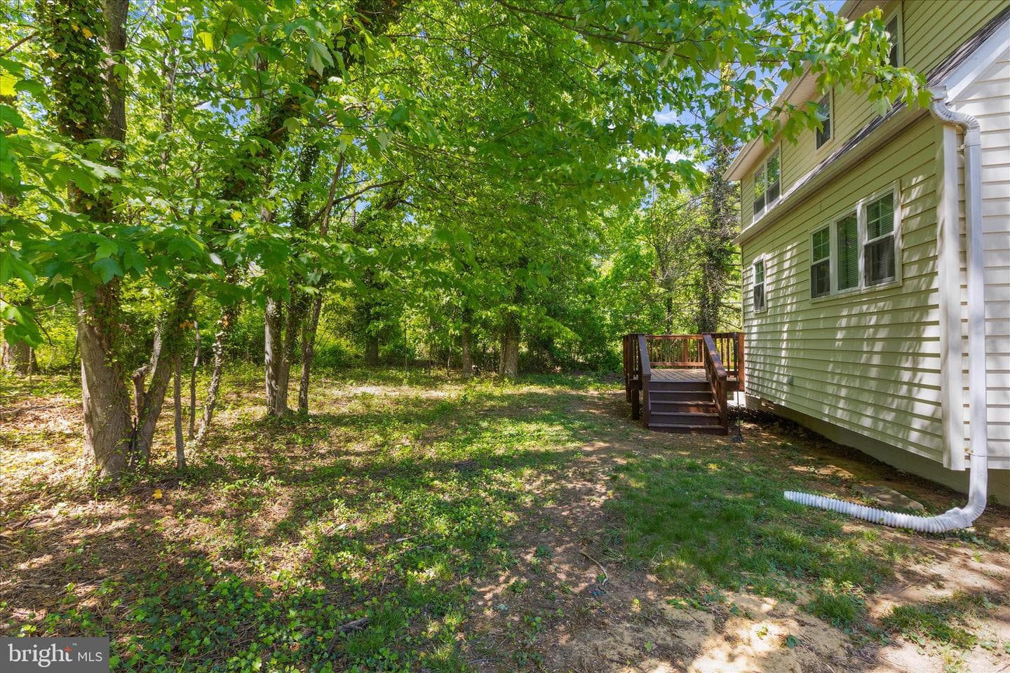 5301 Frazier Terrace photo 66