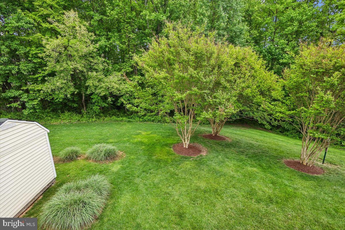 11903 Bracken Court photo 51