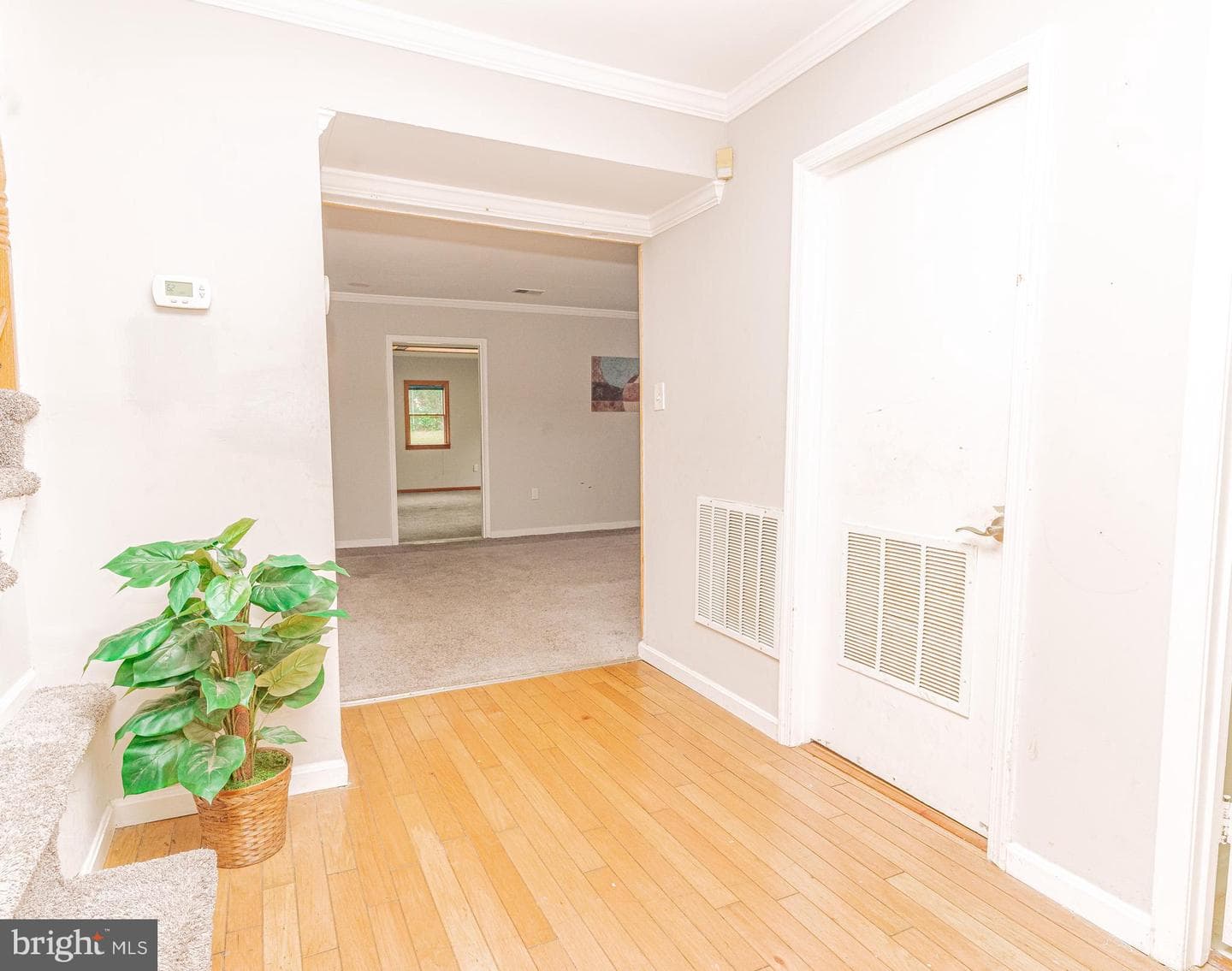 2103 Willowtree Lane photo 3