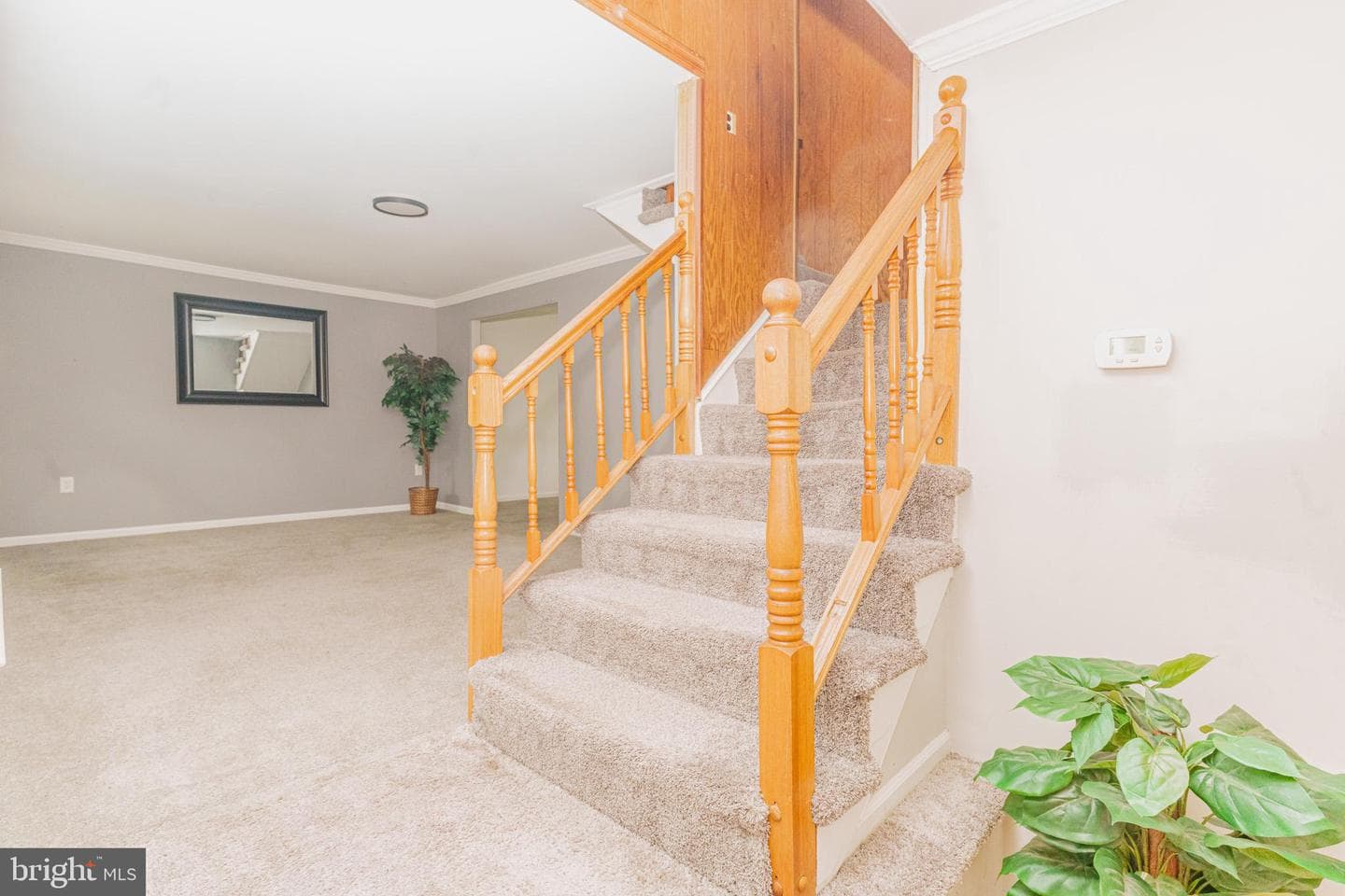 2103 Willowtree Lane photo 9