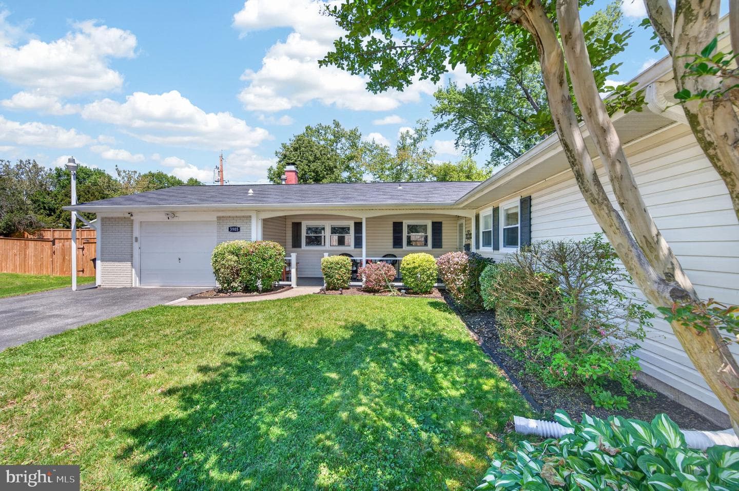 3905 Carvel Lane photo 5