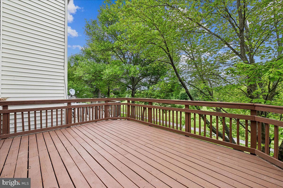 11614 Cosca Park Drive photo 28