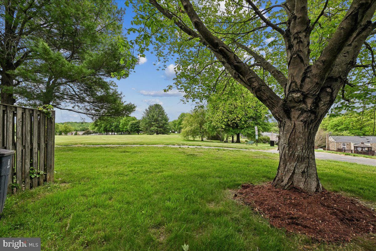 11614 Cosca Park Drive photo 30