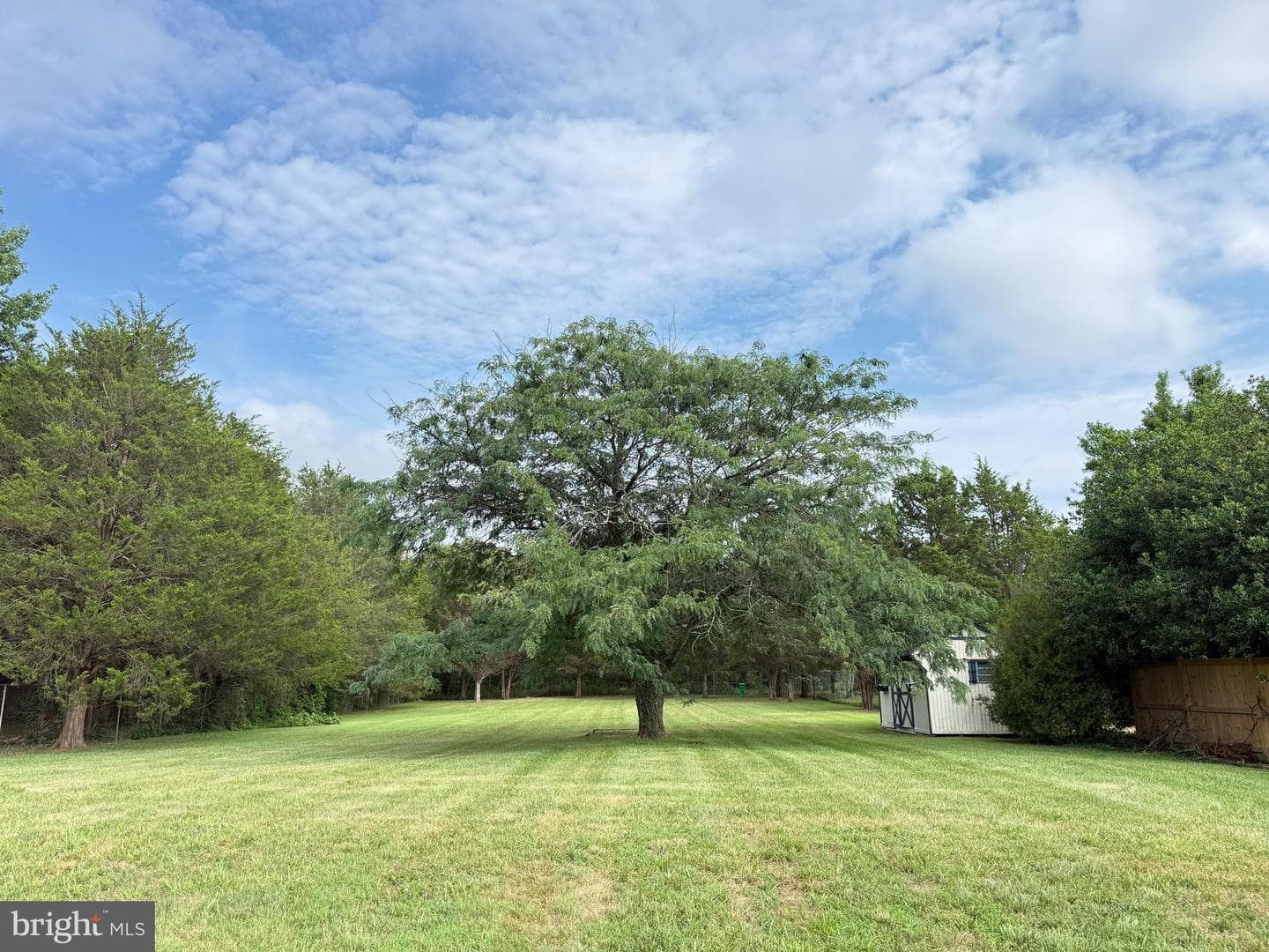 10603 Barnsdale Drive photo 30