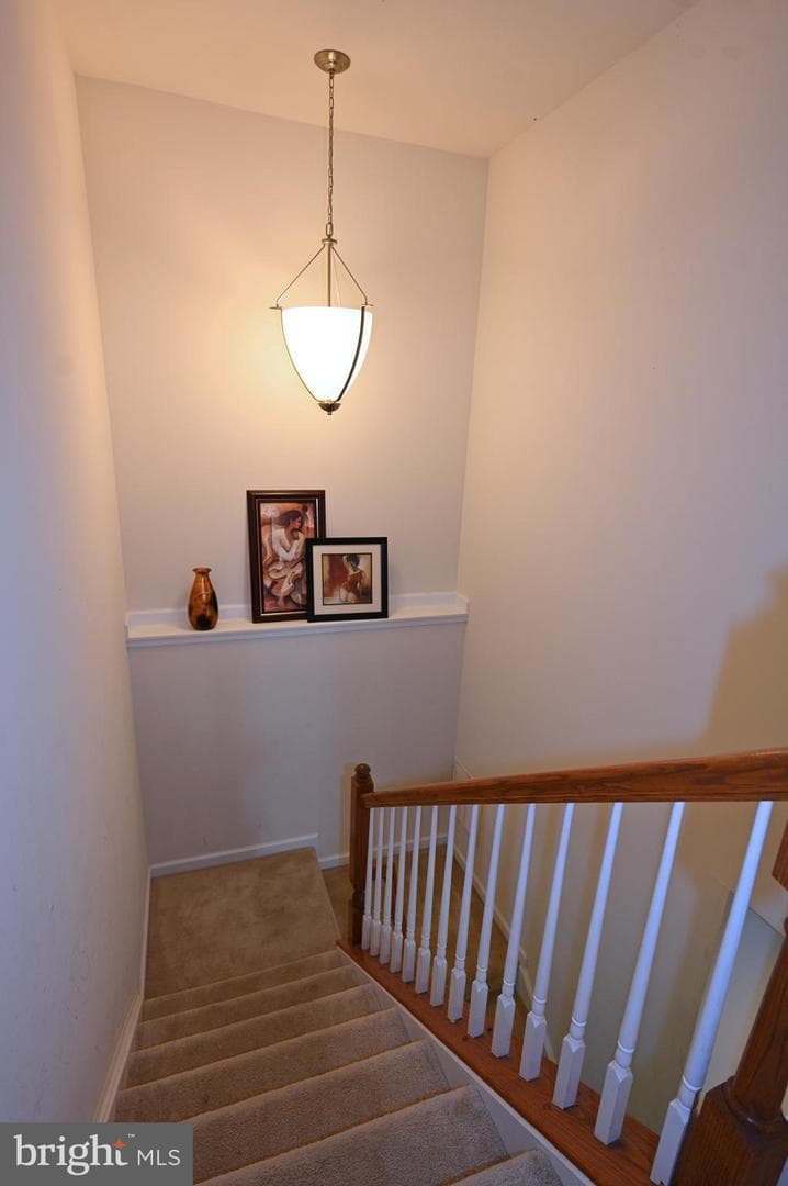 13810 Catzell Court photo 35