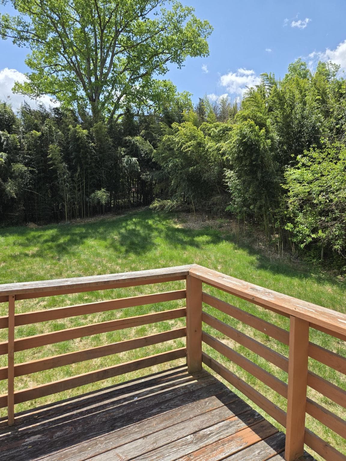 8510 Schultz Road photo 16