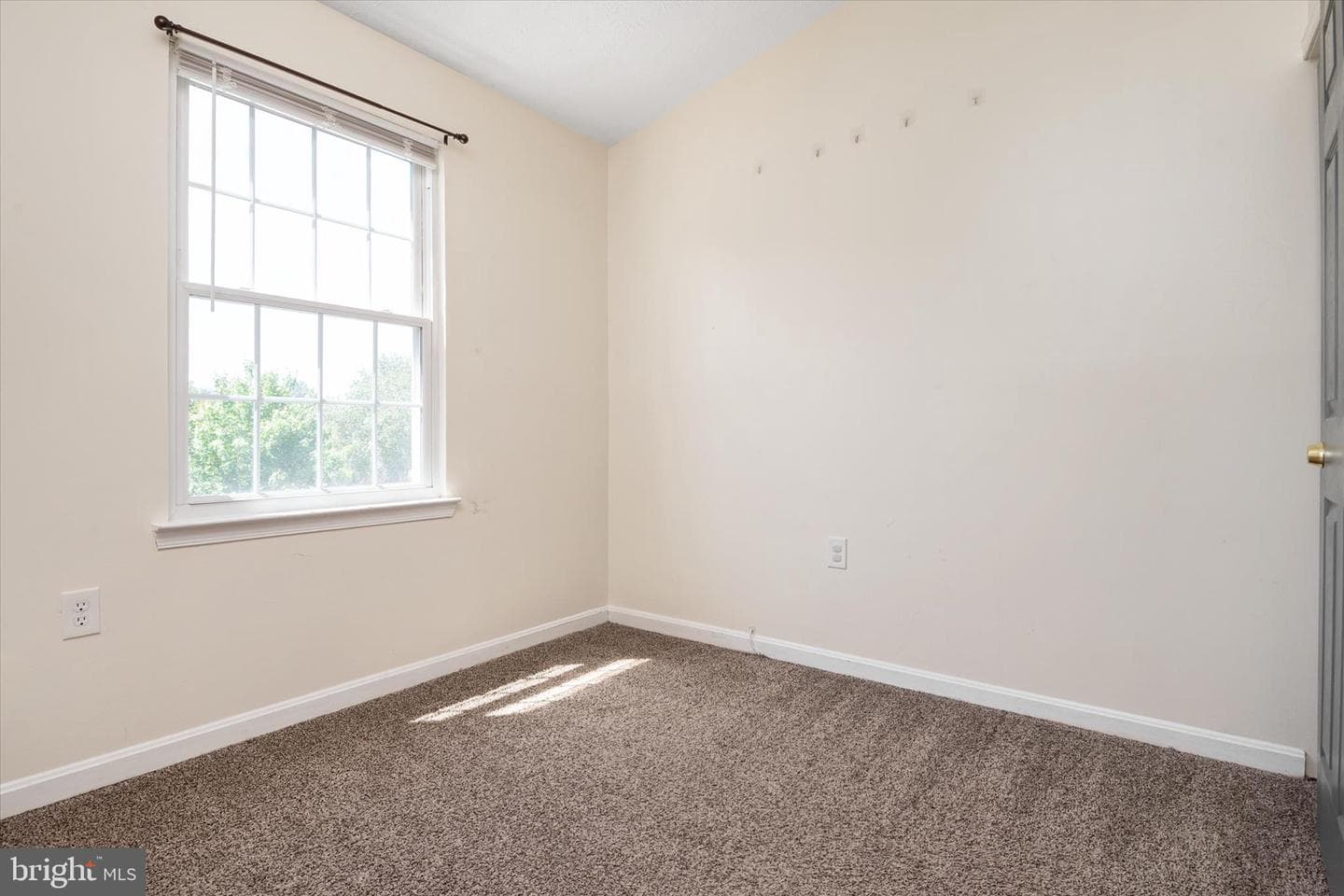 10538 Joyceton Drive photo 19