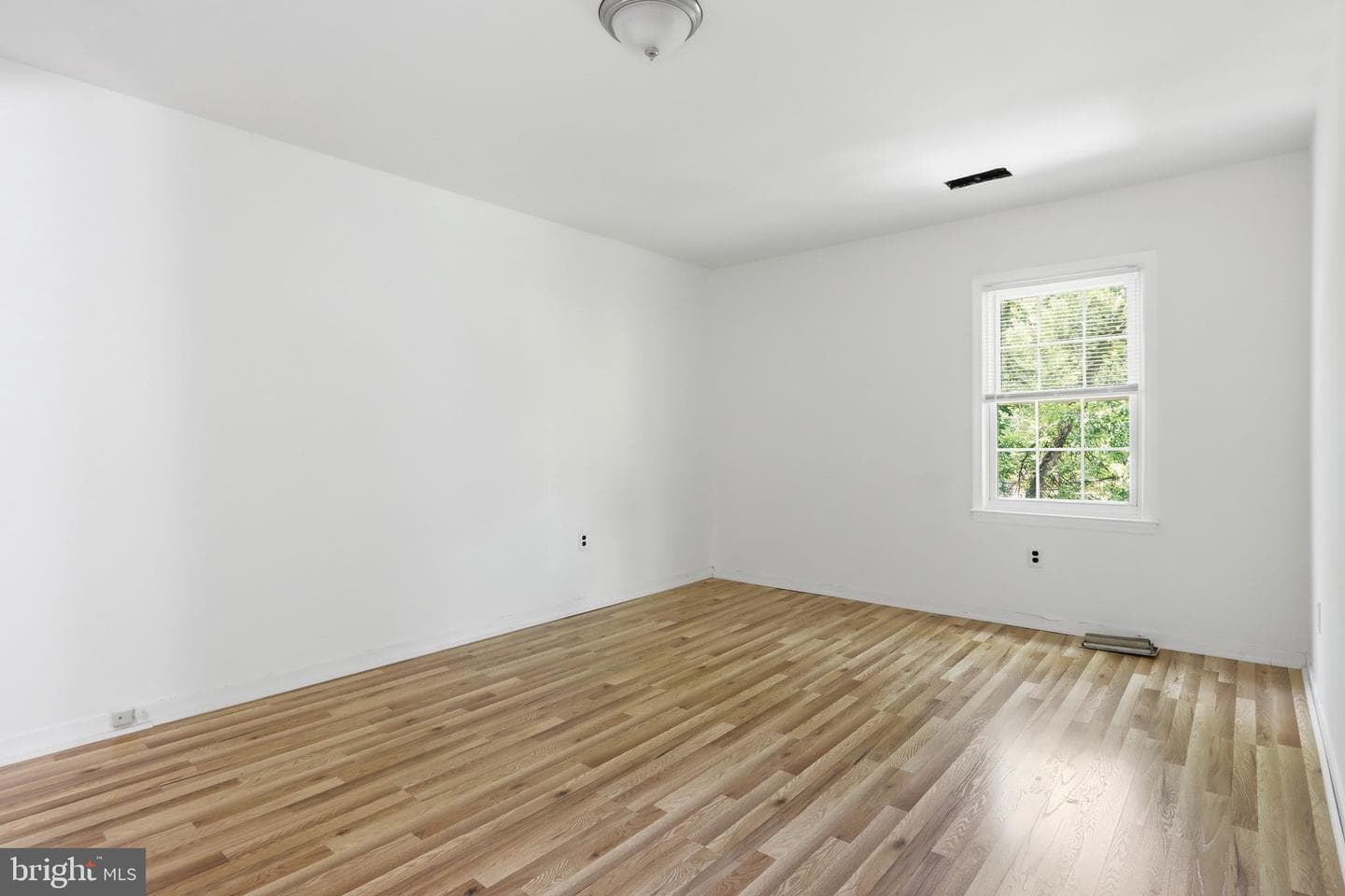201 Castleton Place photo 23