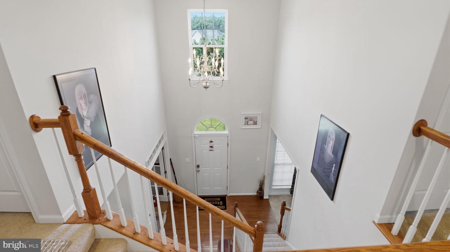 6707 Sandy View Court photo 53