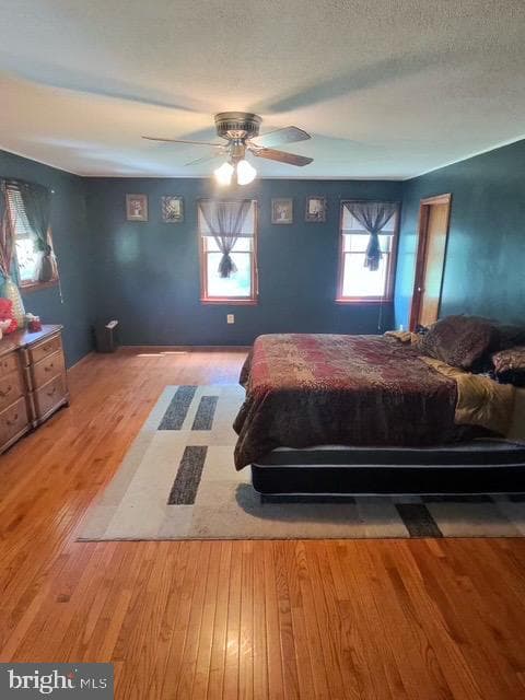 12601 Livingston Road photo 9