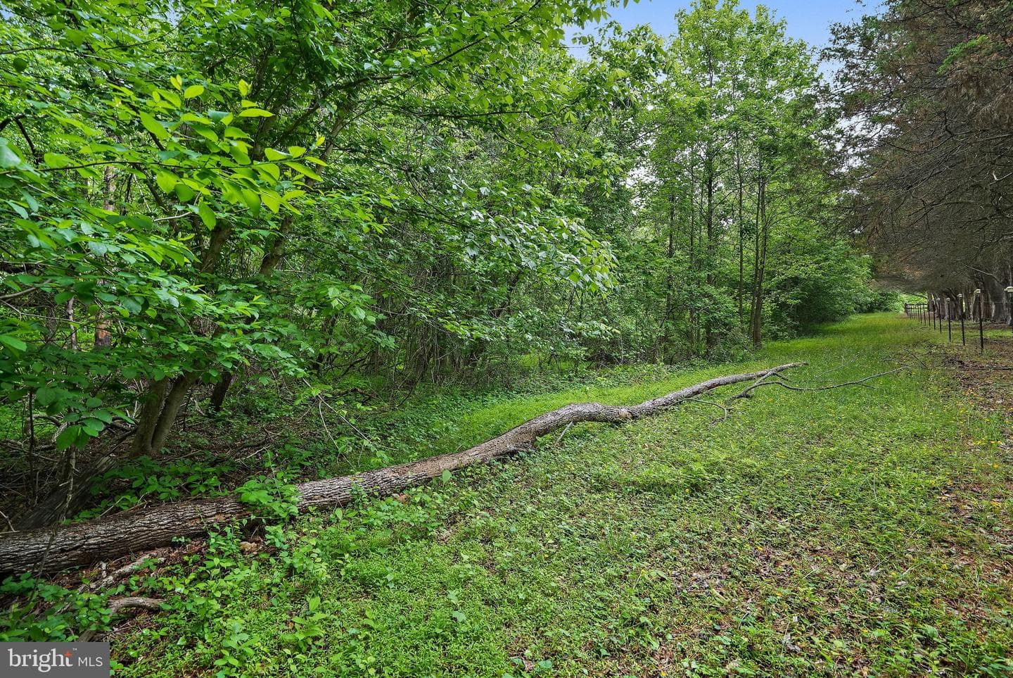 6201 Croom Station Road photo 45