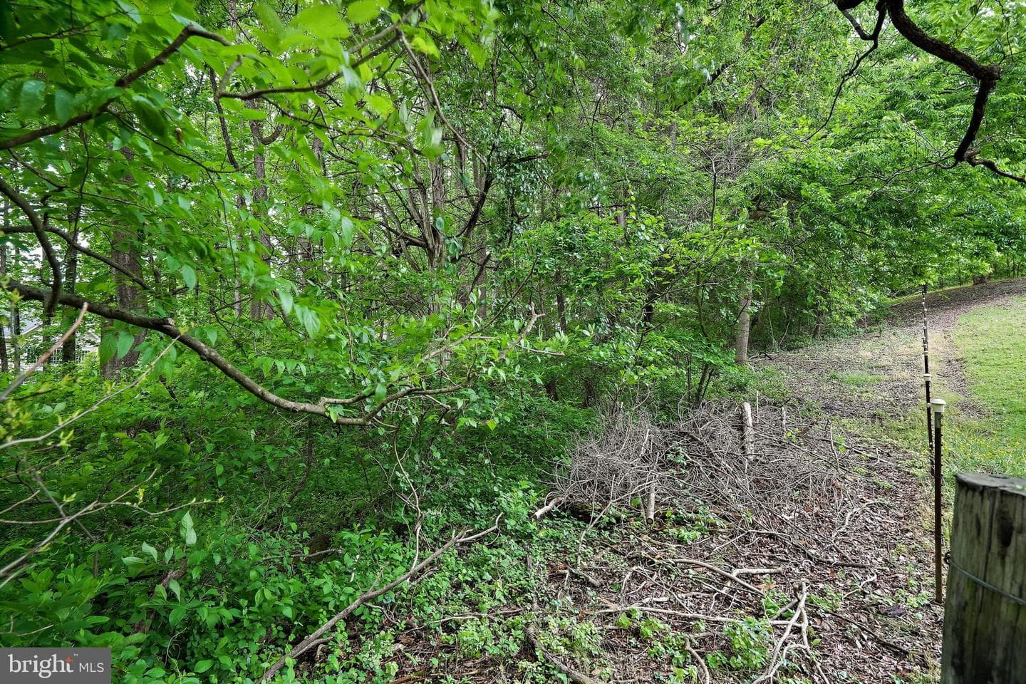 6201 Croom Station Road photo 46