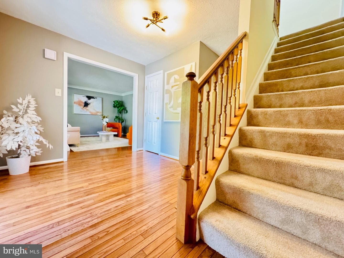12405 Quiet Owl Lane photo 11
