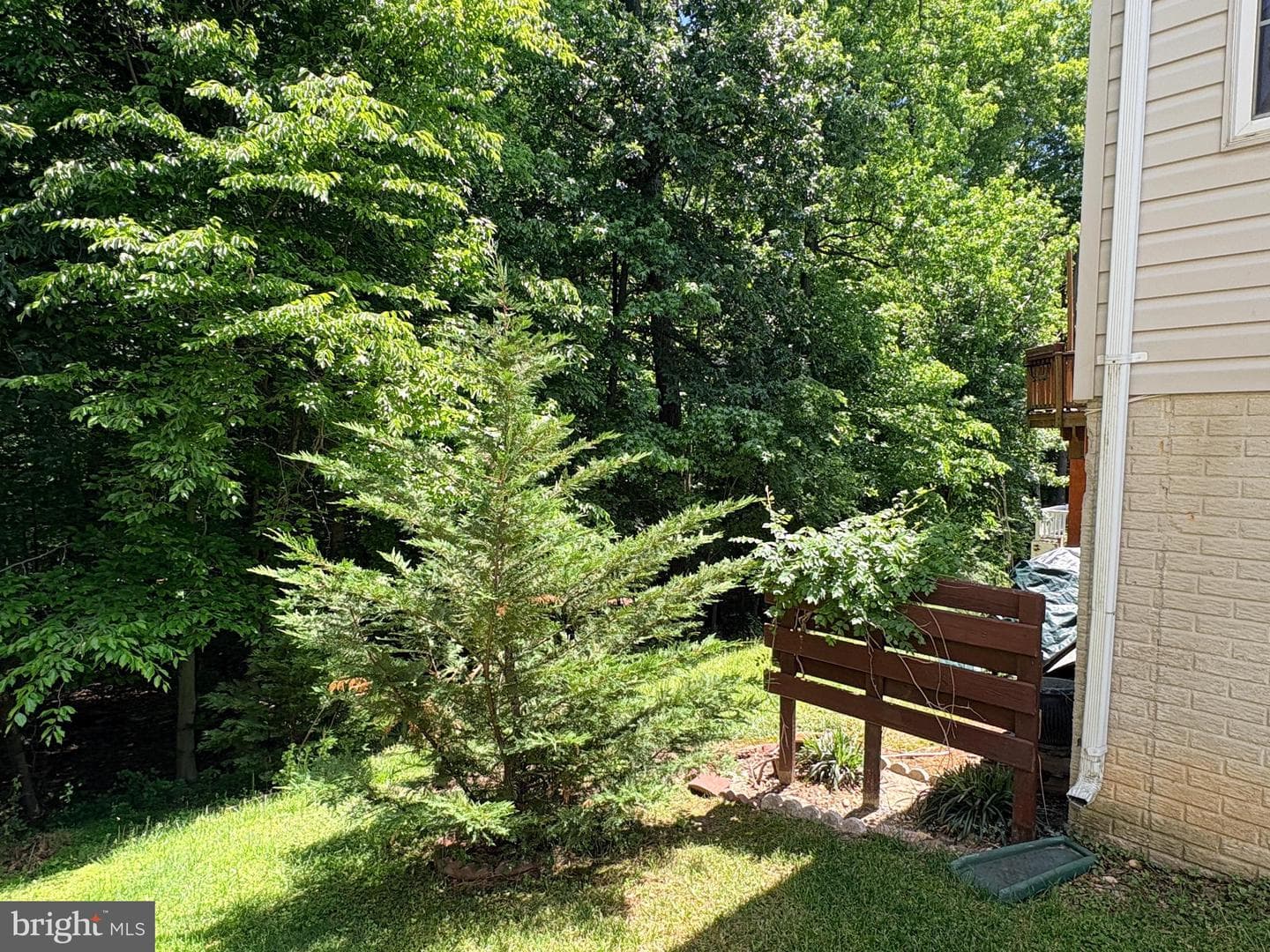 1617 Shady Glen Drive photo 44