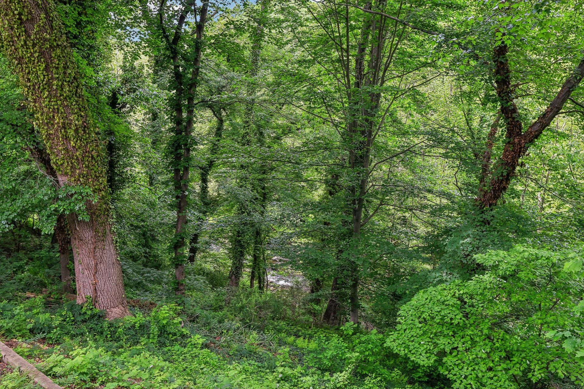 221 Patuxent Road photo 32