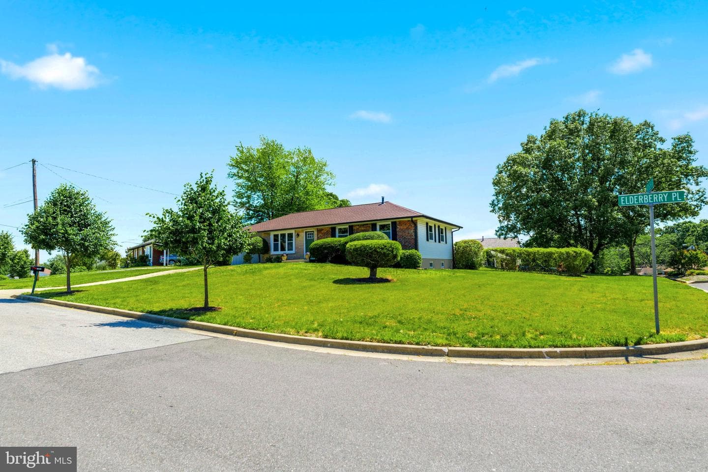 1001 Elderberry Place photo 3