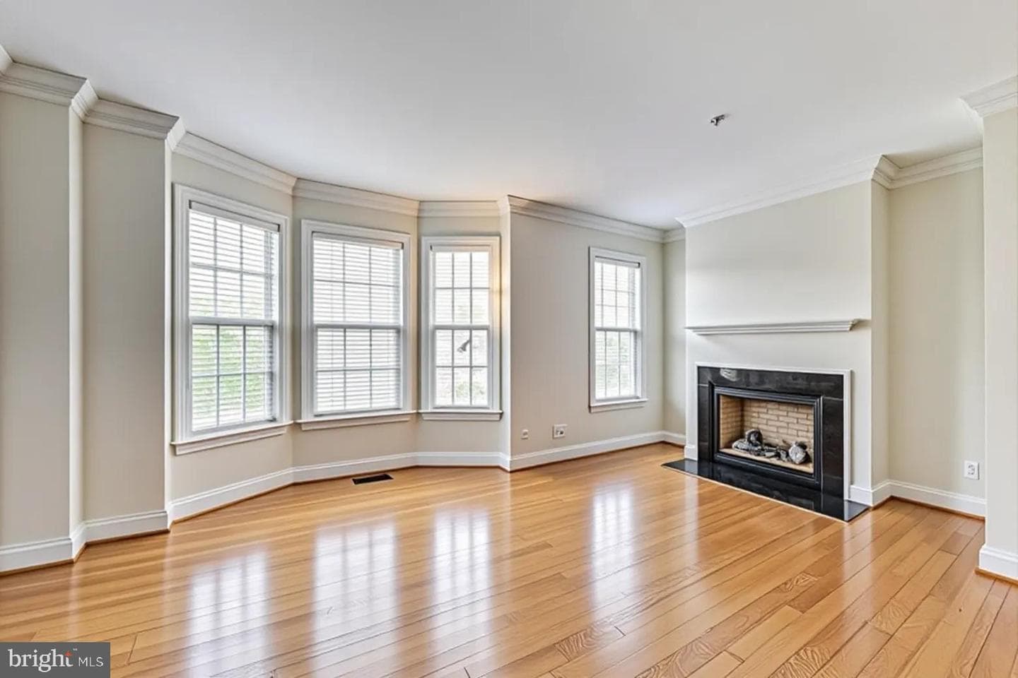 716 River Mist Drive photo 4