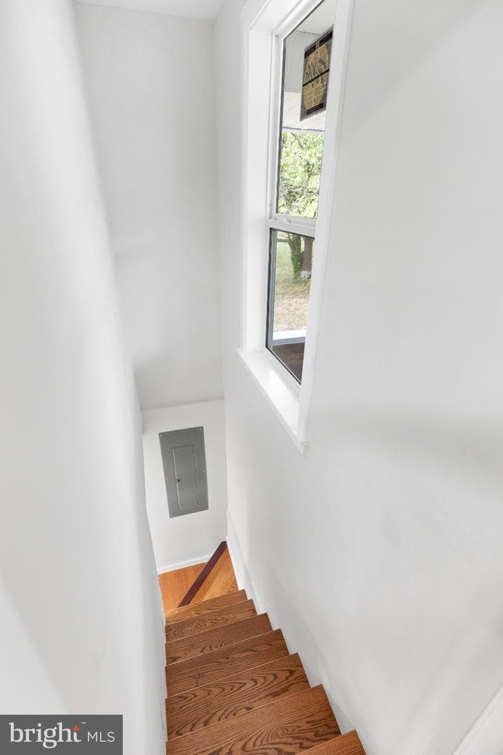 1528 Hunt Avenue photo 17