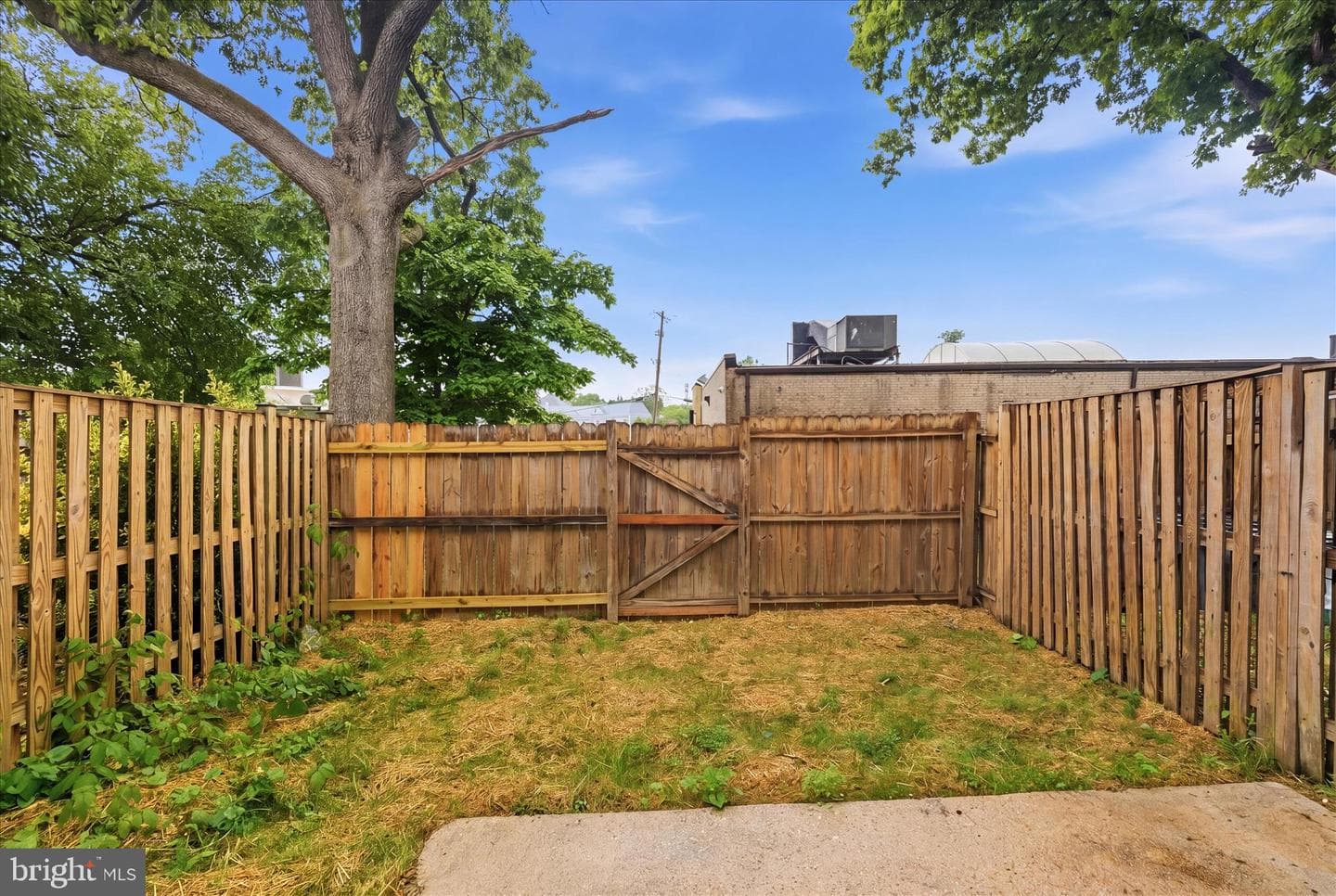 6536 Beechwood Drive #19 photo 29