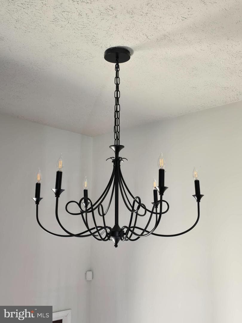 8907 Chad Way photo 15