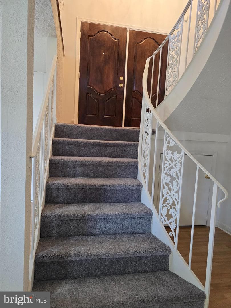 8907 Chad Way photo 17