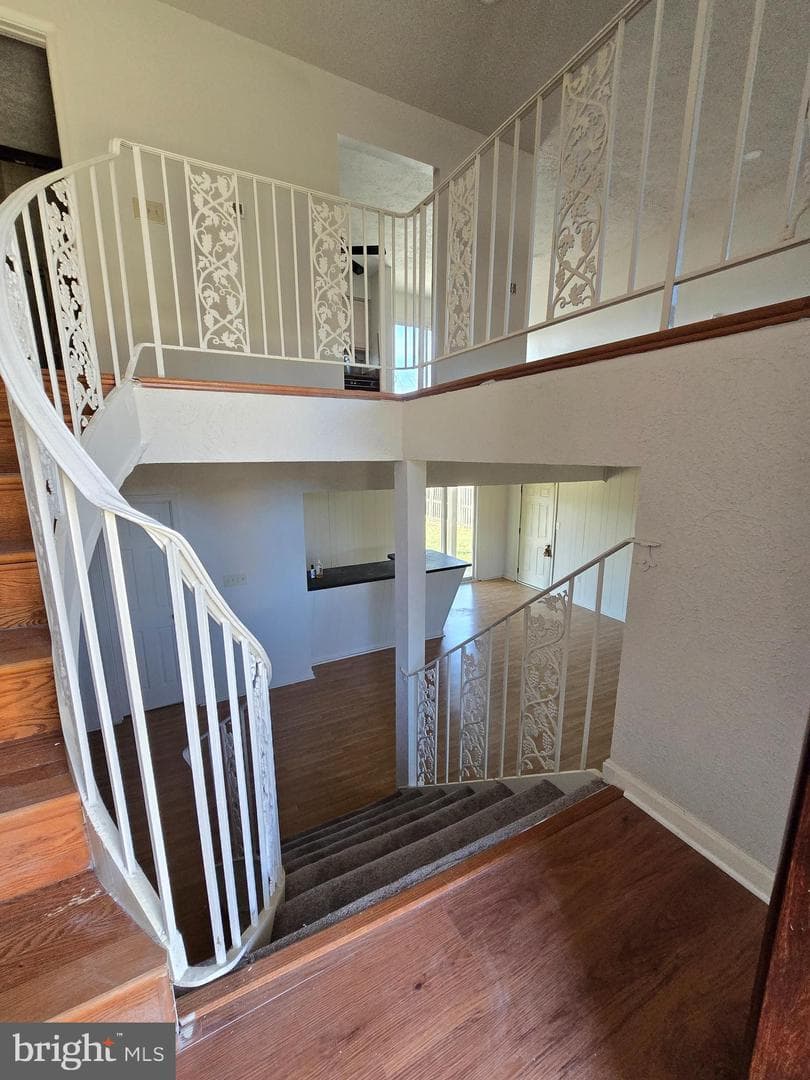 8907 Chad Way photo 32