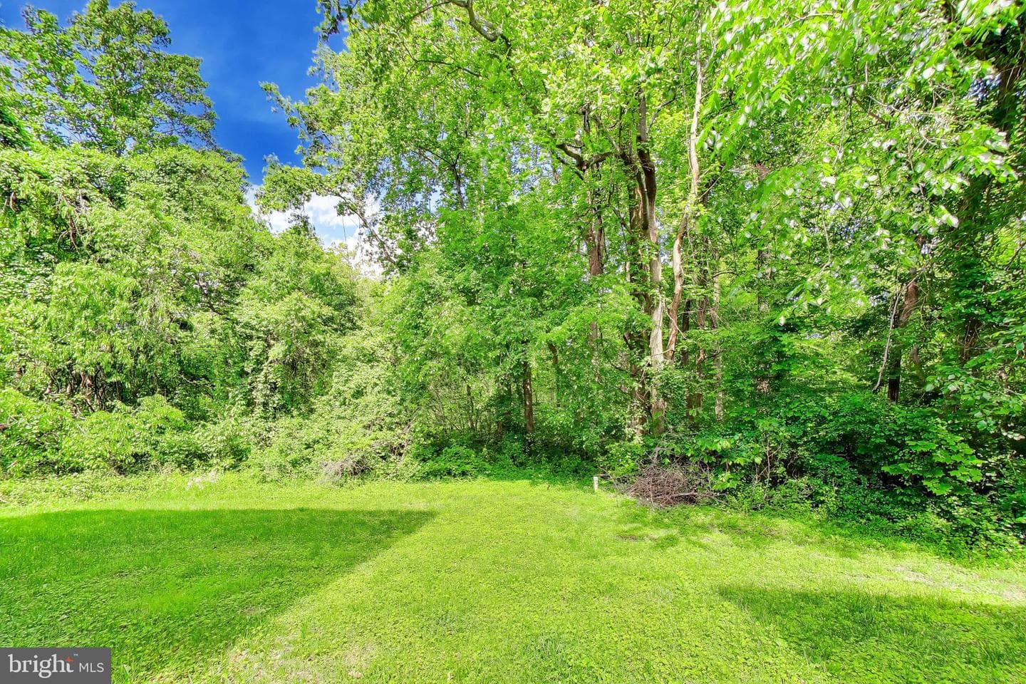 13402 Marburg Lane photo 62