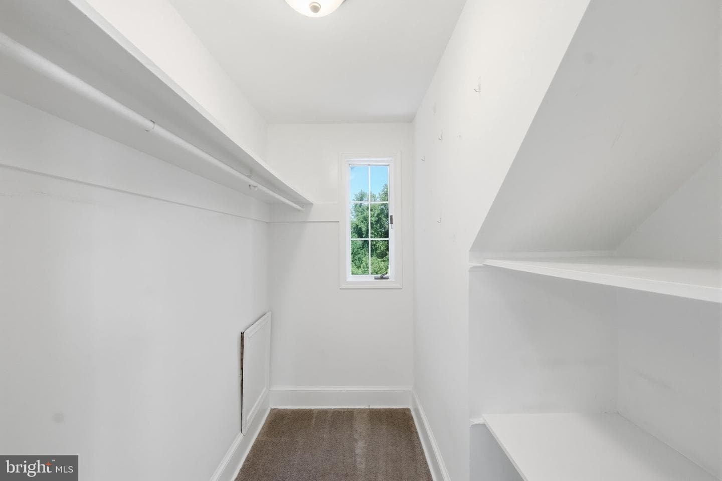 6704 Boxwood Drive photo 23