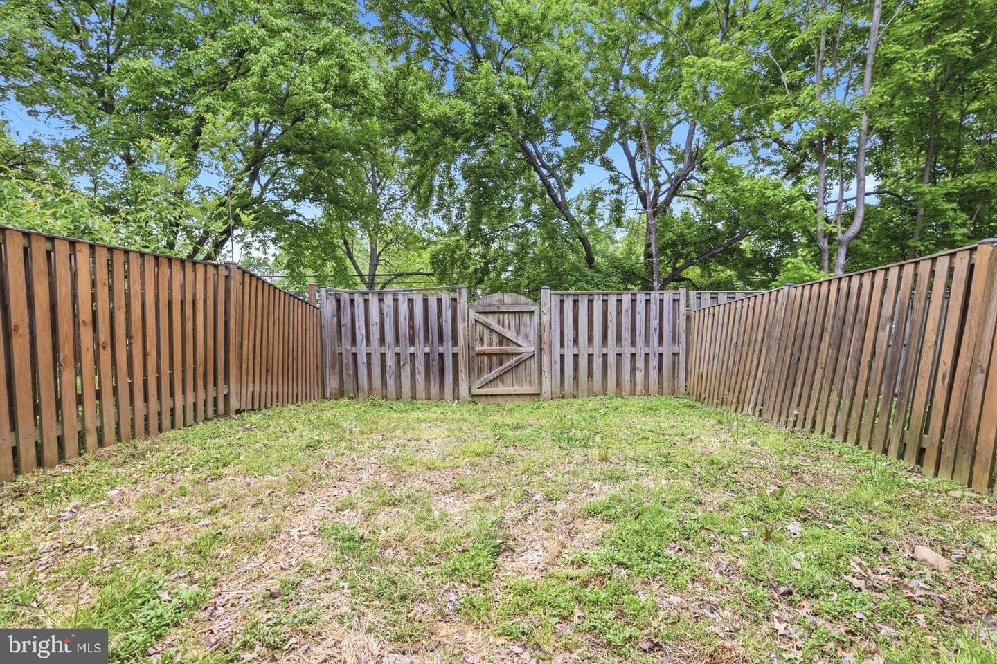 15028 Wheatland Place photo 28