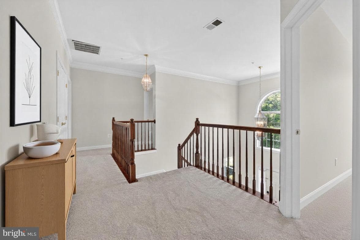 13330 Lenfant Drive photo 22