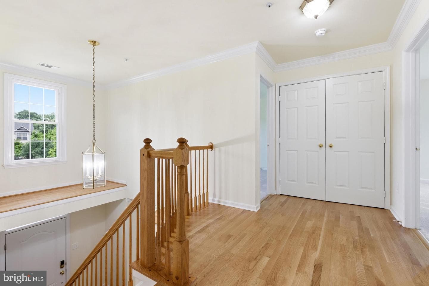 10003 Goose Pond Court photo 21
