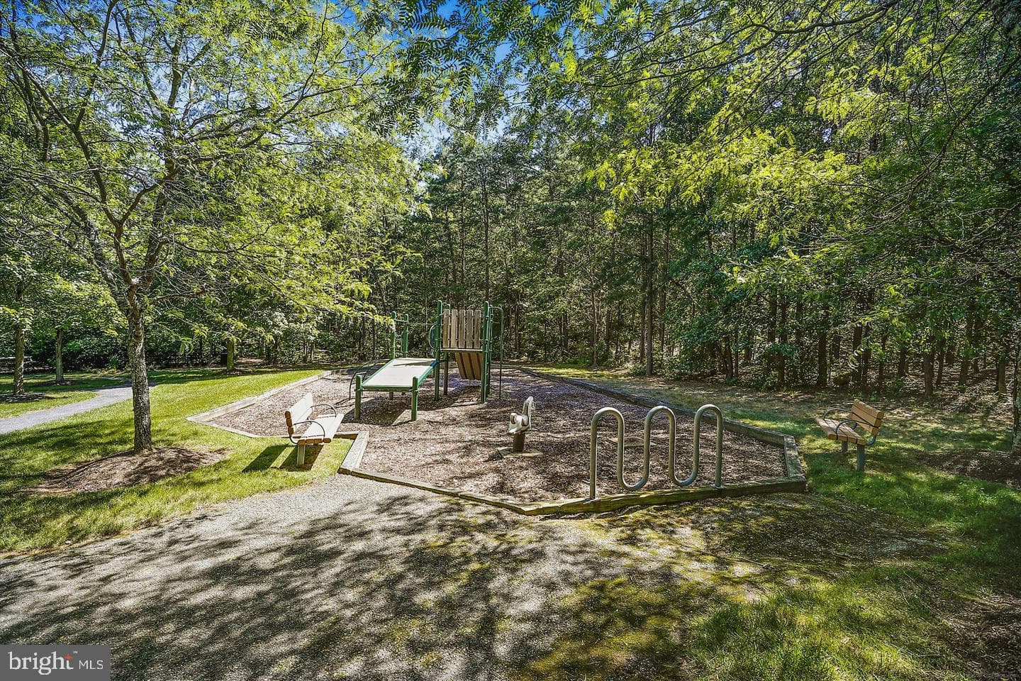 10003 Goose Pond Court photo 41