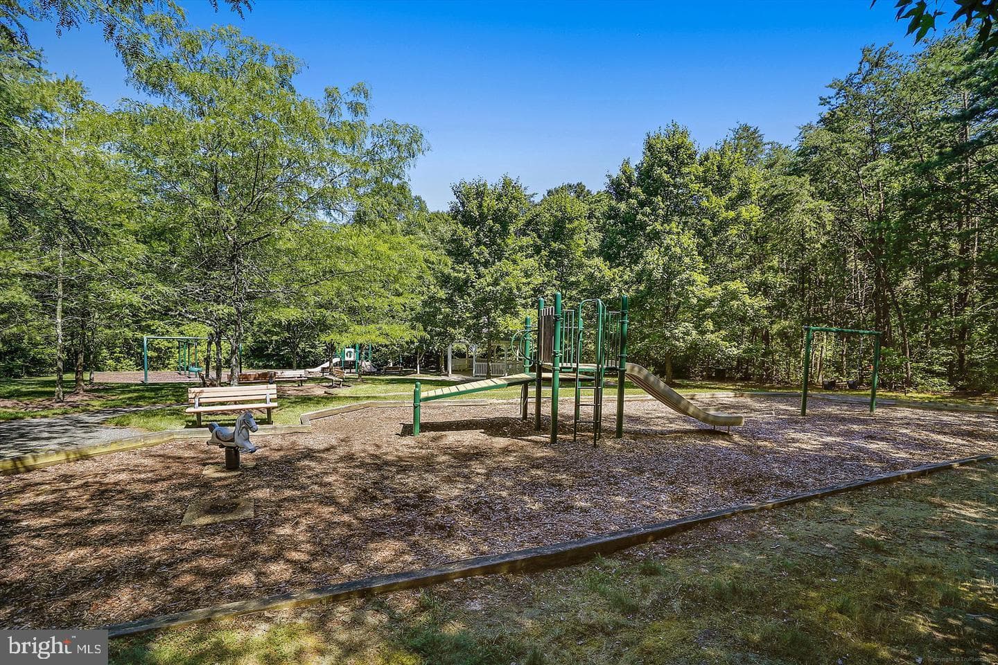 10003 Goose Pond Court photo 42