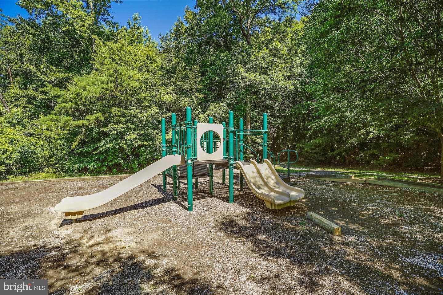 10003 Goose Pond Court photo 44